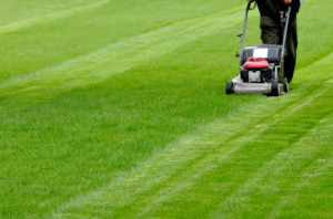 mowing techniques are an essential component in keeping your lawn green and healthy lawn care san antonio