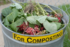many business owners choose composting and aeration for their corporate landscaping 