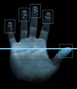 biometric security is a flexible and effective protocol for businesses
