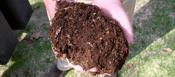 A homeowner holding a handful of compost