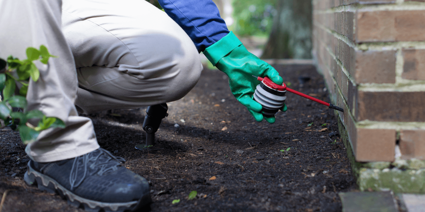 a specialist applying scorpion control treatments at an Austin home