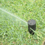 sprinkler in lawn