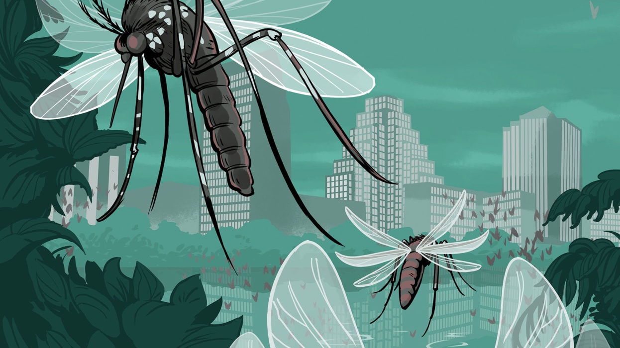 an illustration of mosquitoes flying around downtown Austin