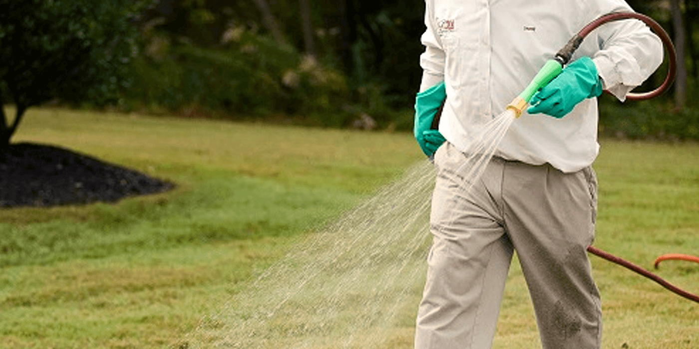 especialistas en jardinería aplicando fertilizante al césped de una casa