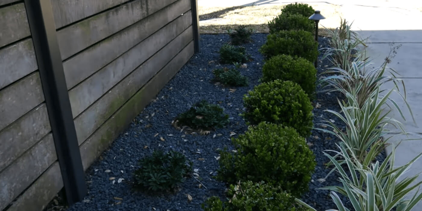 Profesionales de jardinería de ABC reacondicionando el patio de una casa con plantas y adoquines nuevos