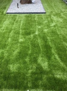 artificial turf in a yard