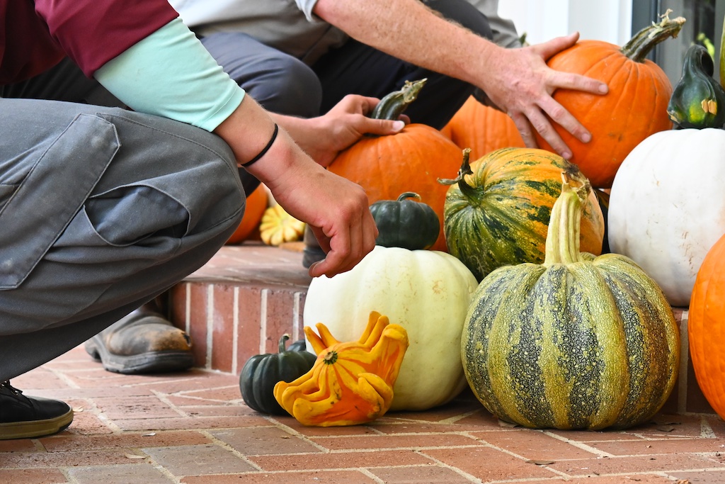 Pumpkins being placed on a front porch