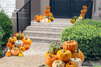 front pront porch decorated with over 40 pumpkins
