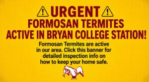 URGENT: FORMOSAN TERMITES ACTIVE IN BCS!