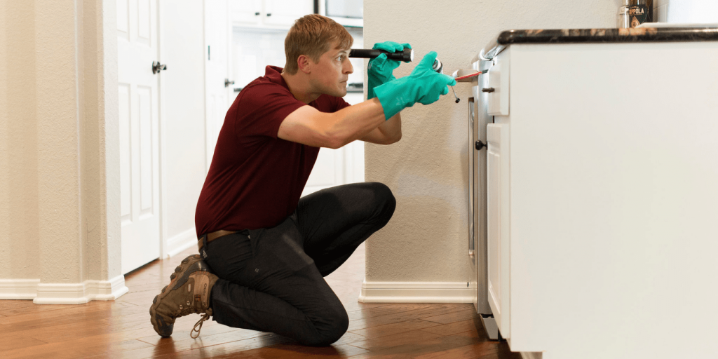 an ABC pest control specialist inspecting a home