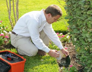 ABC lawn care specialist providing commercial services