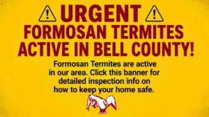 URGENT: FORMOSAN TERMITES ACTIVE IN BELL COUNTY!