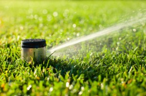 sprinkler istock1 300x199 5 Tips for Irrigation: Save Water and Money! pic