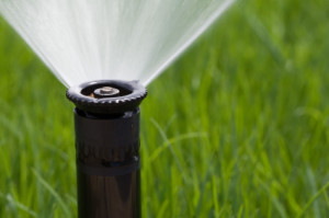 your sprinkler system uses about 12 gallons of water per minute ABC San Antonio lawn care
