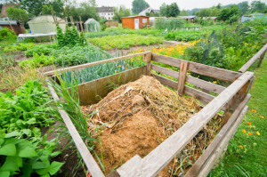 compost and nutrient-rich soil go hand in hand