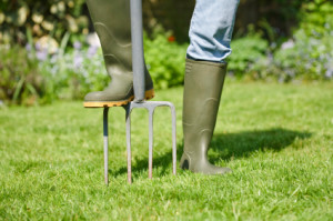 lawn aeration helps grass grow to its full potential ABC San Antonio