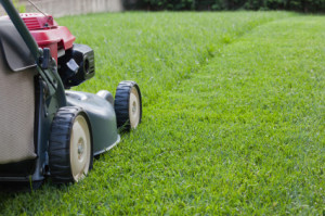 Make sure your lawn is ready for spring