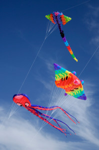 The Zilker Kite Festival has been around since 1929