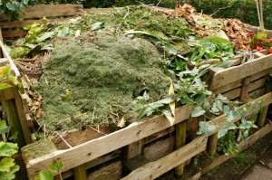 Composting is one of the best things you can do for the health and appearance of your lawn