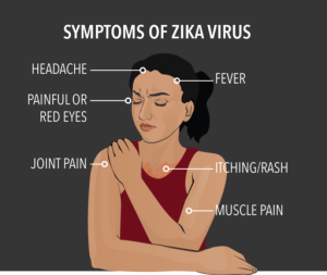 The Major Symptoms of Zika Fever 