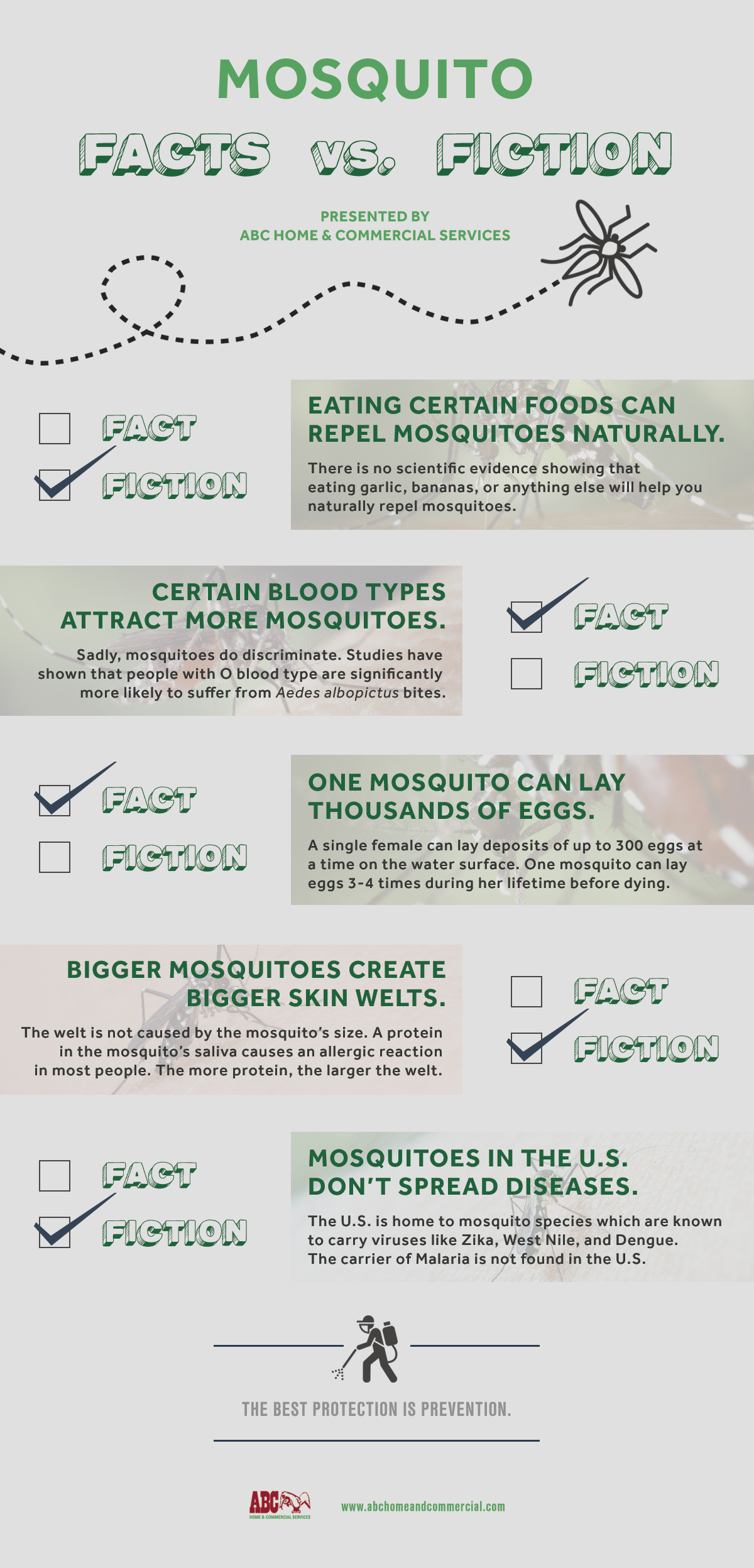 ABC SanAntonio Mosquito Facts Infographic