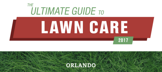 Orlando Lawn Care Guide