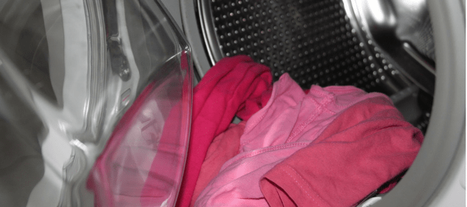 podem os percevejos sobreviver na máquina de lavar roupa