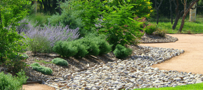 Texas Landscaping Plants Landscape, Greater North Texas Landscaping