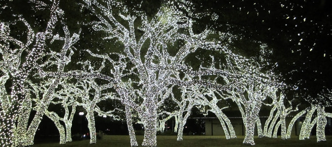Houston Christmas light tours