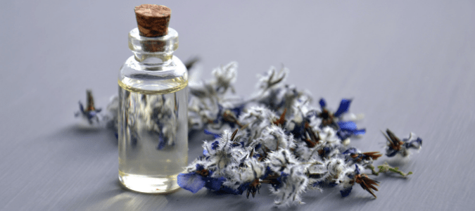 Does Lavender Oil Repel Bugs