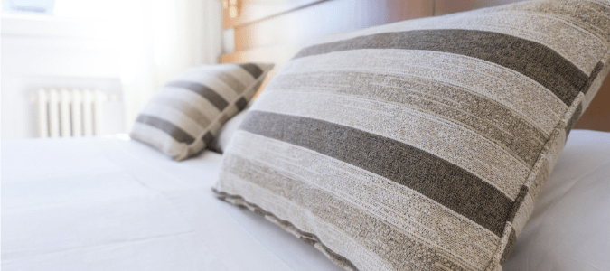 Bugs That Look Like Bed, Do Bed Bugs Hide In Duvets