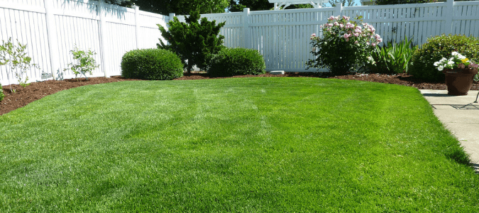 How to keep grass green in hot weather
