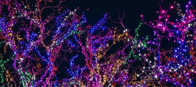 Austin neighborhood Christmas lights