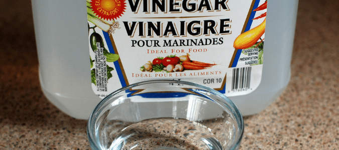 vinegar for bed bugs