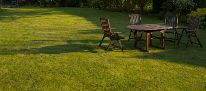 A nice green lawn as a result of an effective fall lawn care schedule