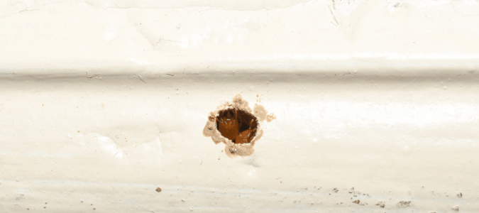 A termite hole in a baseboard