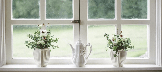 potted plants in a white windowsill