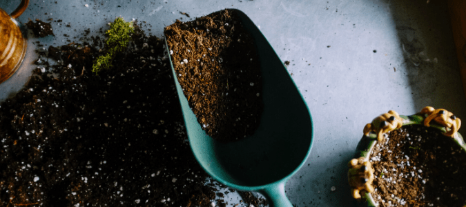a plastic gardening scoop filled with soil