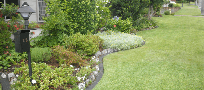 a garden filled with blooming plants