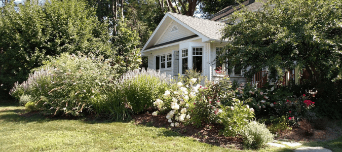 lush flowers by a shed