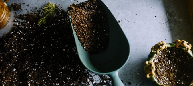 a gardening scoop filled with compost