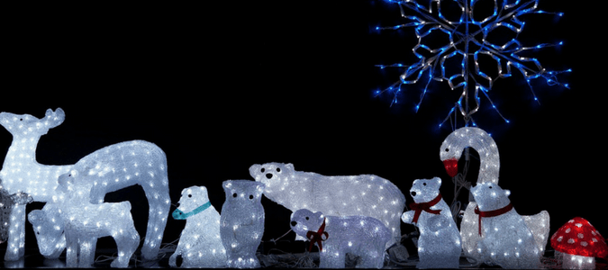 Christmas lights and animals in Dallas