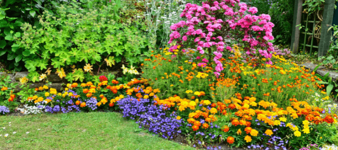 a low maintenance flower bed