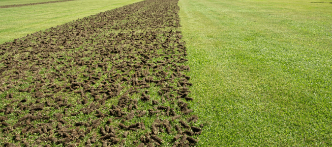 a lawn that has been partially aerated