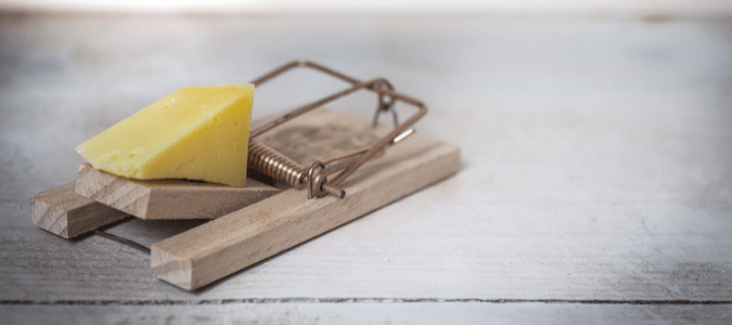 a mouse trap with a piece of cheese in it