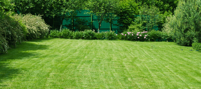 freshly mowed lawn with bordering landscape garden and trees