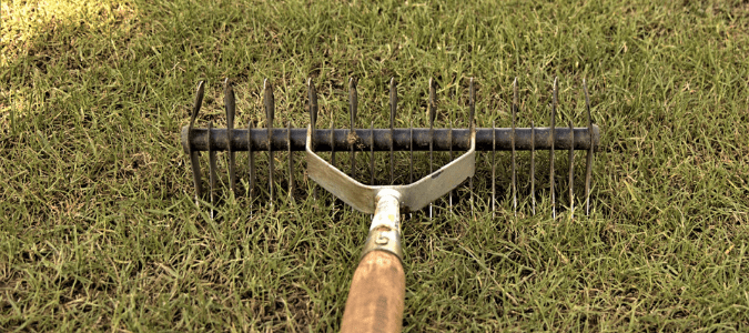 a rake for aerating