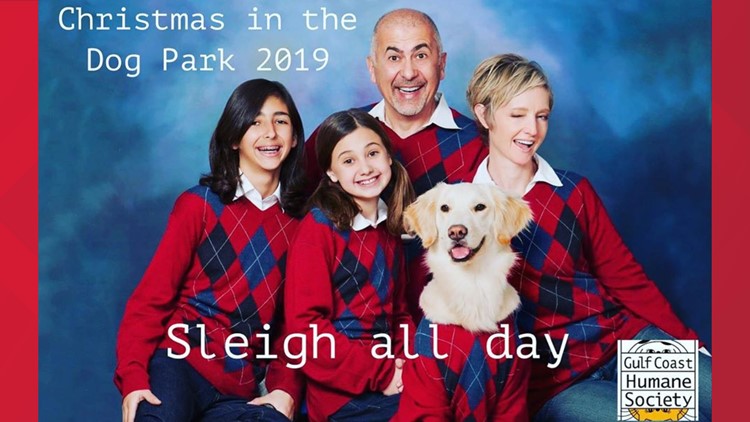 family and dog dressed in Christmas sweaters