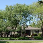 Tree trimming in Corpus Christi