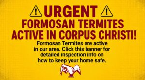 URGENT: FORMOSAN TERMITES ACTIVE IN CORPUS CHRISTI!